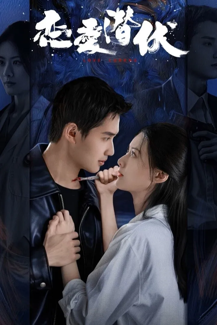 หัวใจซ่อนเงา