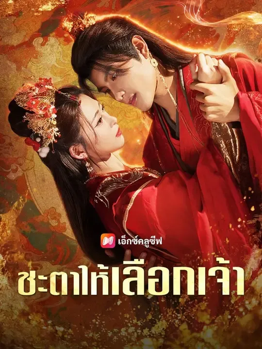 ซีรีส์แนวตั้ง (พากย์เสียง) ชะตาให้เลือกเจ้า พากย์ไทย ครบทุกตอน คมชัด HD