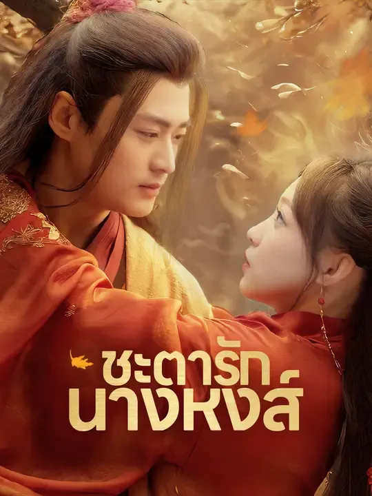 ซีรีส์แนวตั้ง (พากย์เสียง)ชะตารักนางหงส์ พากย์ไทย ครบทุกตอน คมชัด HD