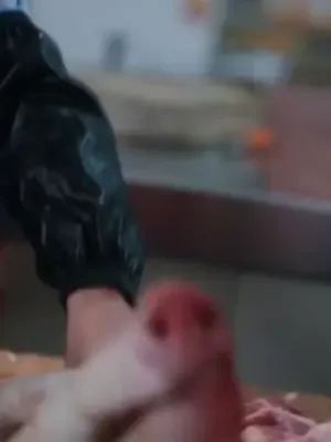 ซีรีส์แนวตั้ง สาวร้านหมู รักฝังใจนายน้อย ซับไทย ครบทุกตอน คมชัด HD