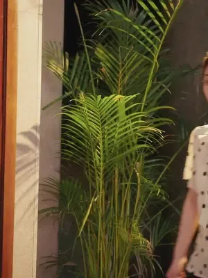 ซีรีส์แนวตั้ง ขายผัวเก่าแล้วปัง ซับไทย ครบทุกตอน คมชัด HD