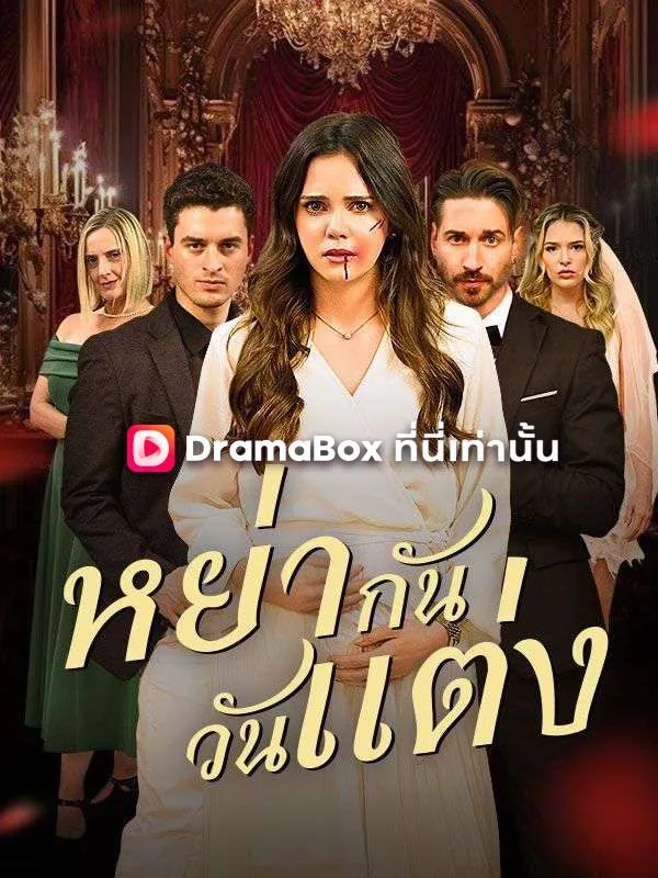 ซีรี่ส์จีน หย่ากันวันแต่ง(พากย์ไทย) พากย์ไทย ครบทุกตอน คมชัด HD