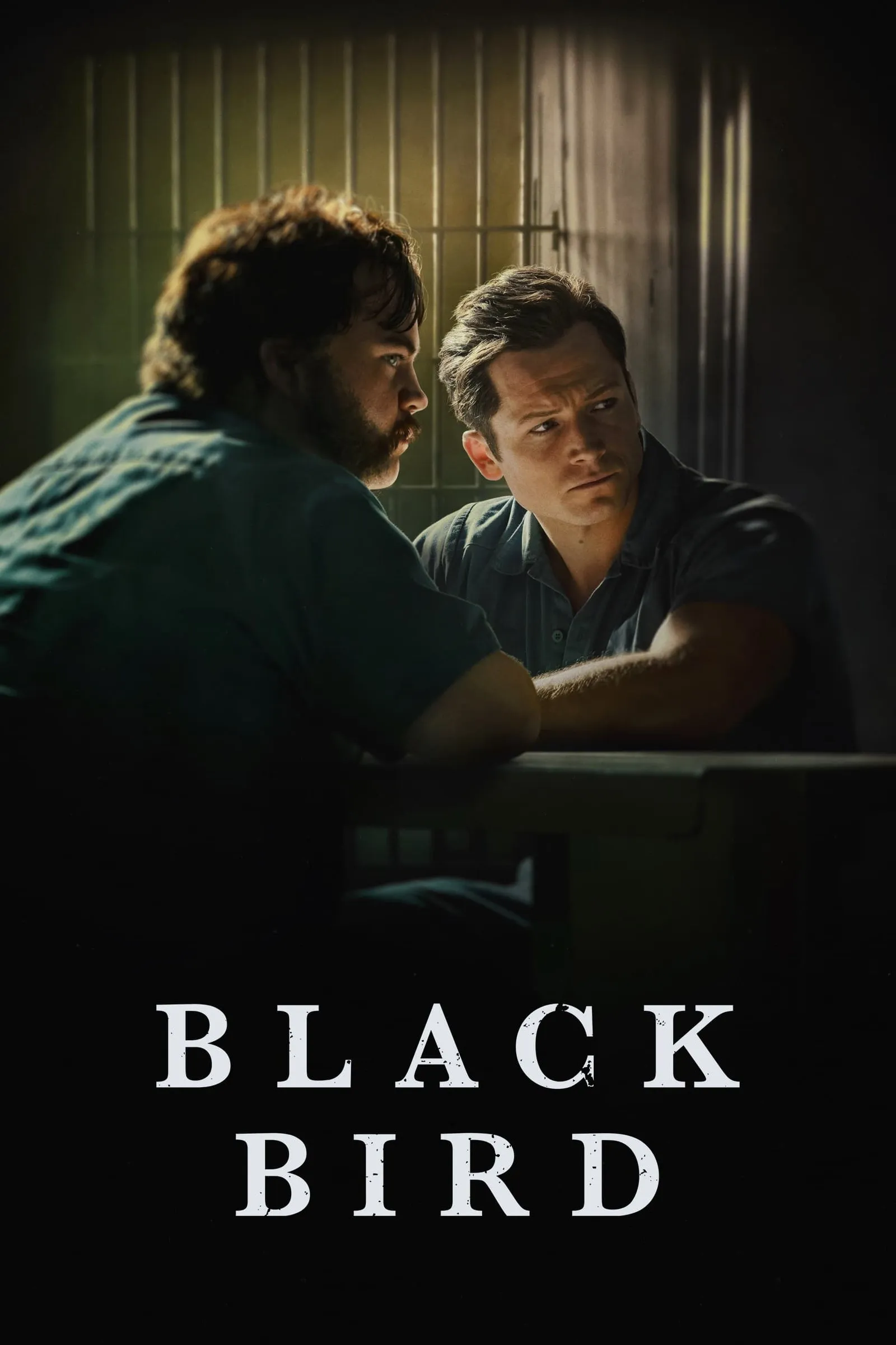 ซีรีส์ Black Bird ซับไทย ครบทุกตอน คมชัด HD