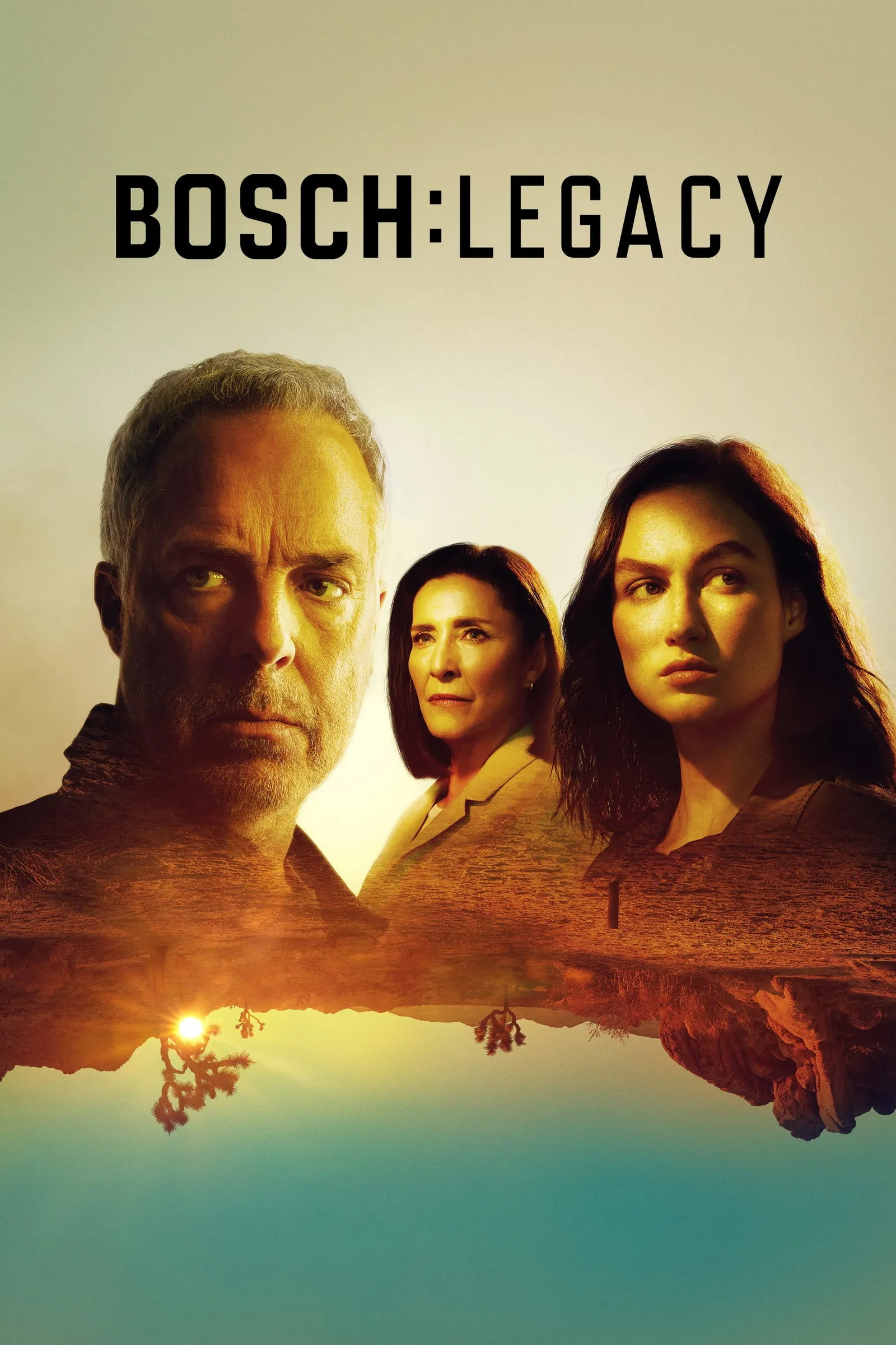 ซีรีส์ บอช ทายาทสืบเก๋า ซับไทย ครบทุกตอน คมชัด HD