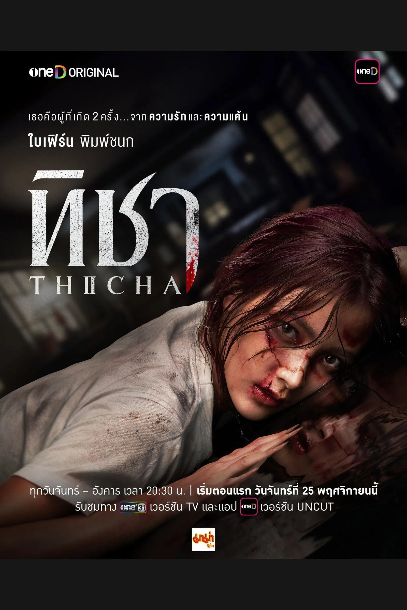 ซีรีส์ ทิชา พากย์ไทย ครบทุกตอน คมชัด HD