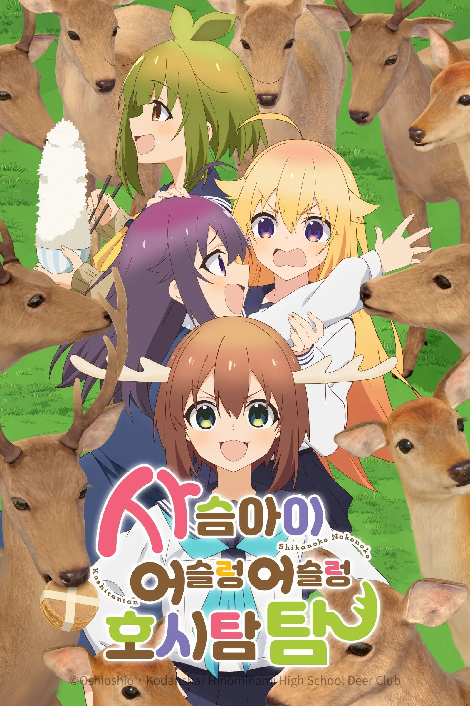 ซีรีส์ โนโกะตัน เพื่อนฉันพันธุ์กวาง พากย์ไทย ครบทุกตอน คมชัด HD