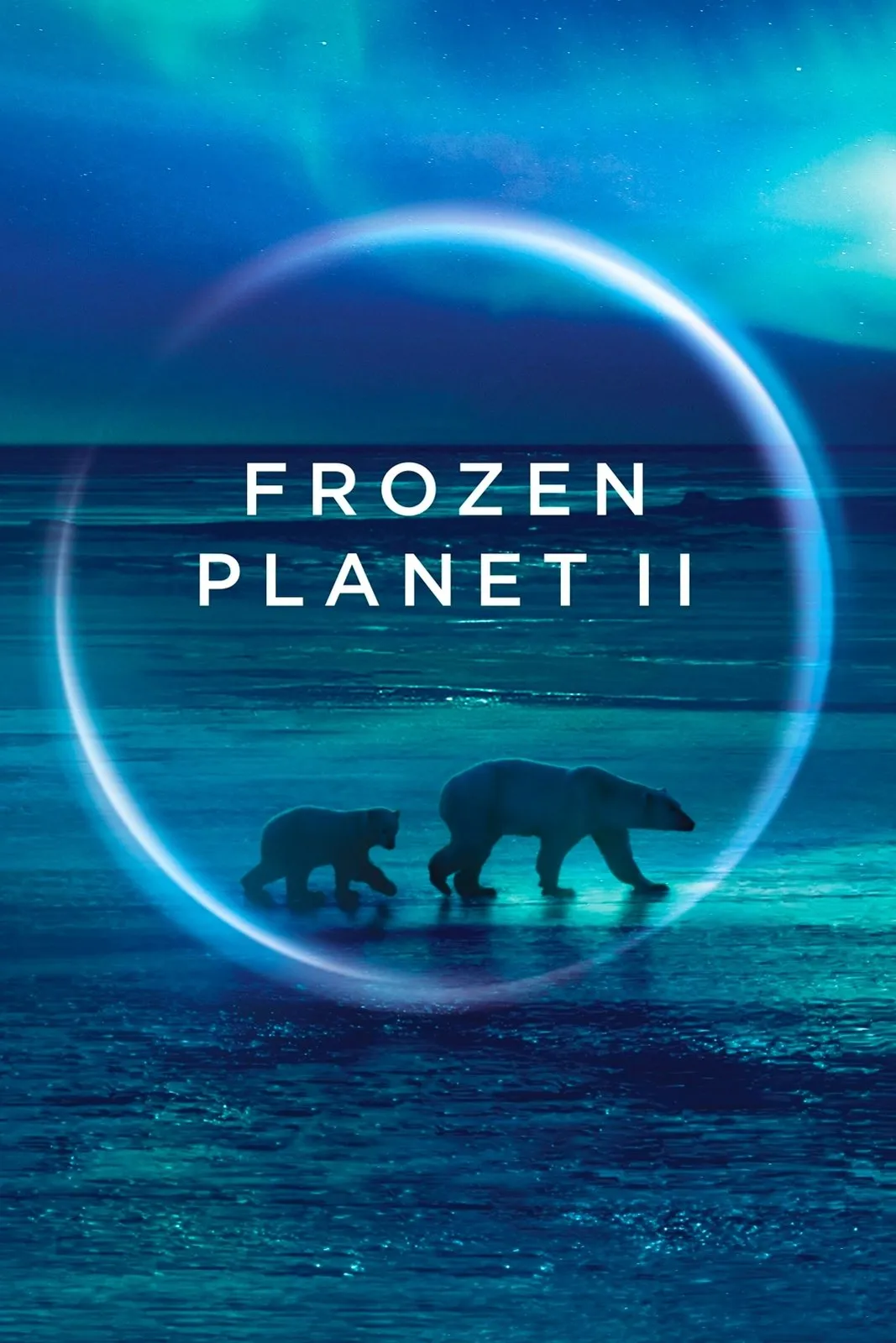 ซีรีส์ Frozen Planet II ซับไทย ครบทุกตอน คมชัด HD