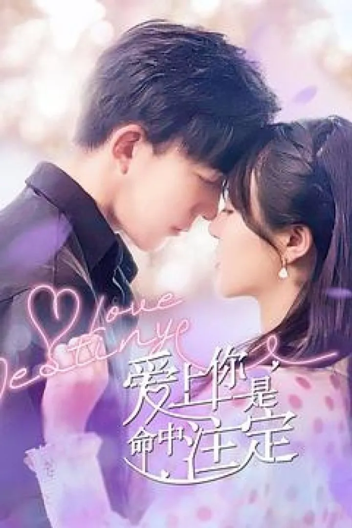 ซีรีส์ Love Destiny ซับไทย ครบทุกตอน คมชัด HD