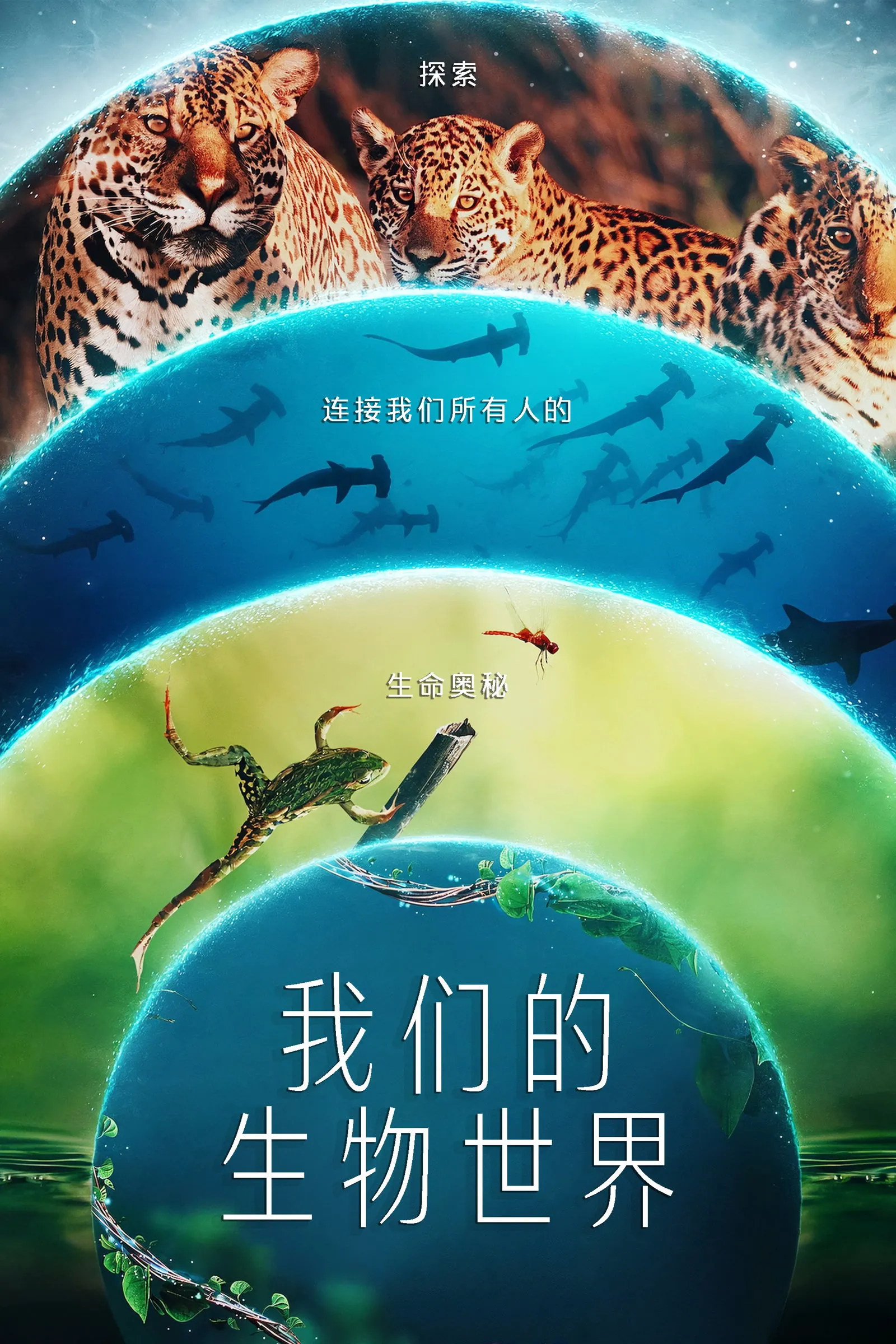 ซีรีส์ โลกที่เราอยู่ พากย์ไทย ครบทุกตอน คมชัด HD