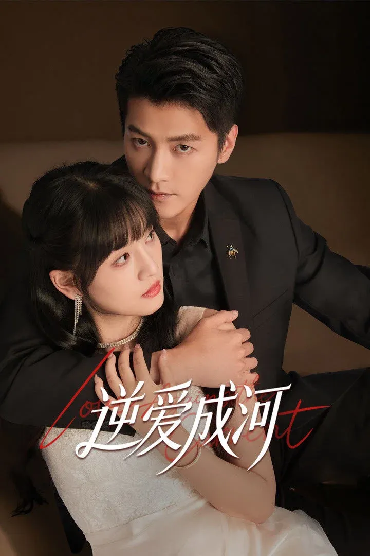 ซีรีส์ รักนี้ต้องอุ้มสลับ ซับไทย ครบทุกตอน คมชัด HD
