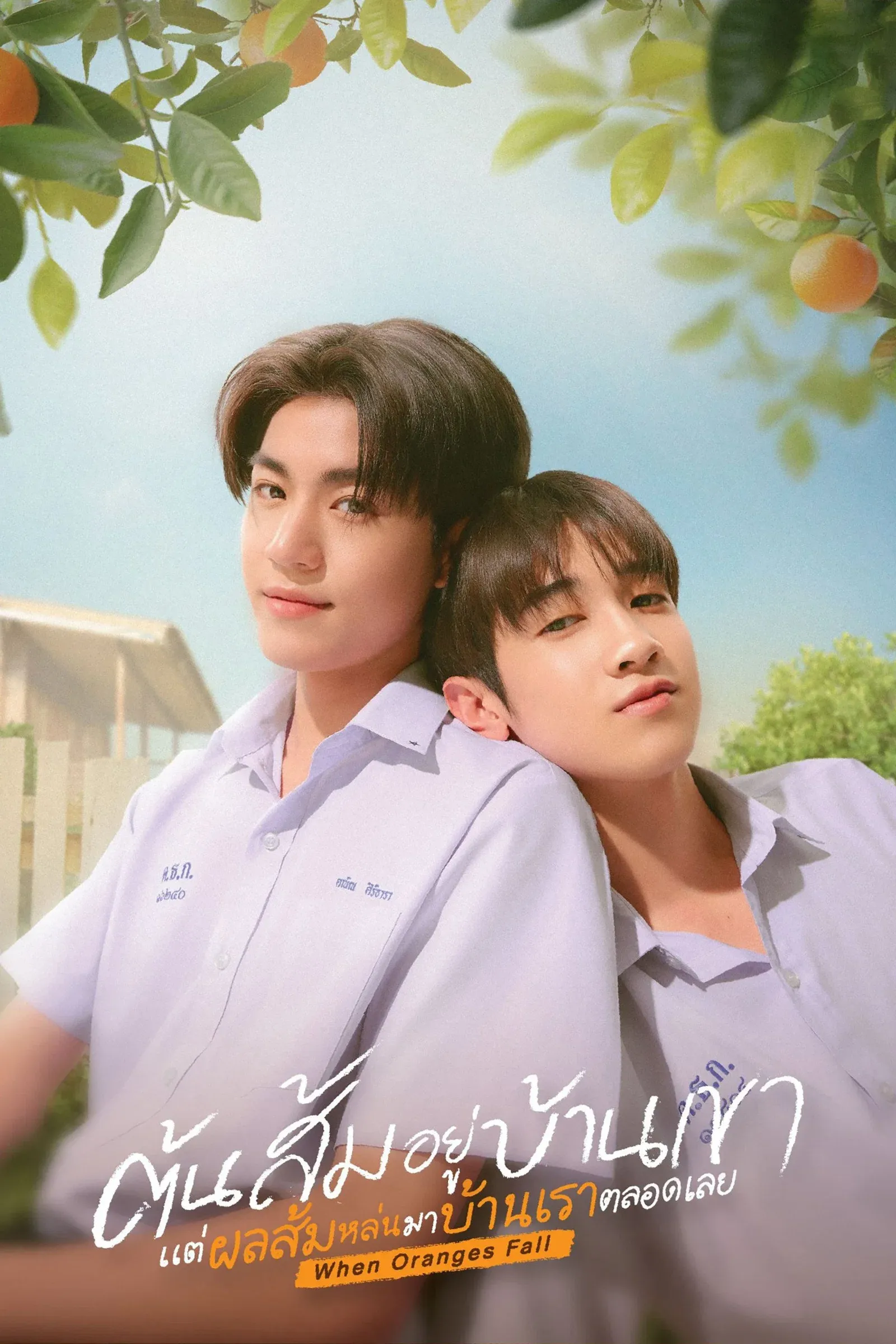 ซีรีส์ ต้นส้มอยู่บ้านเขา แต่ผลส้มหล่นมาบ้านเราตลอดเลย พากย์ไทย ครบทุกตอน คมชัด HD