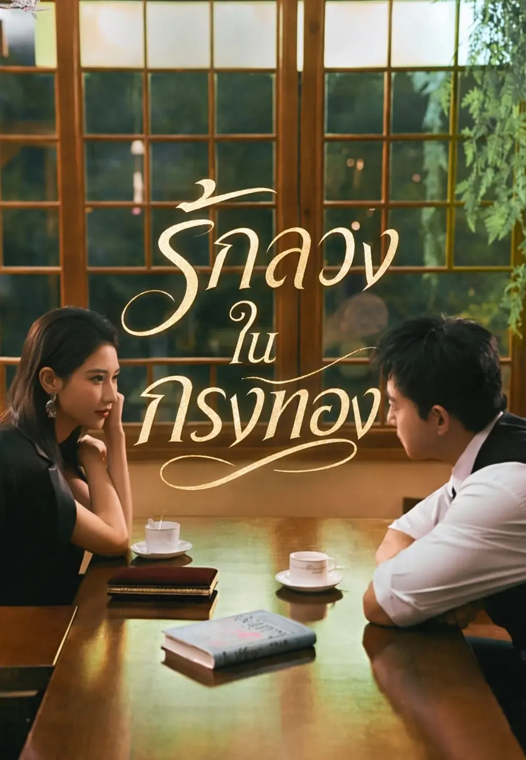 ซีรีส์แนวตั้ง (พากย์)รักลวงในกรงทอง พากย์ไทย ครบทุกตอน คมชัด HD