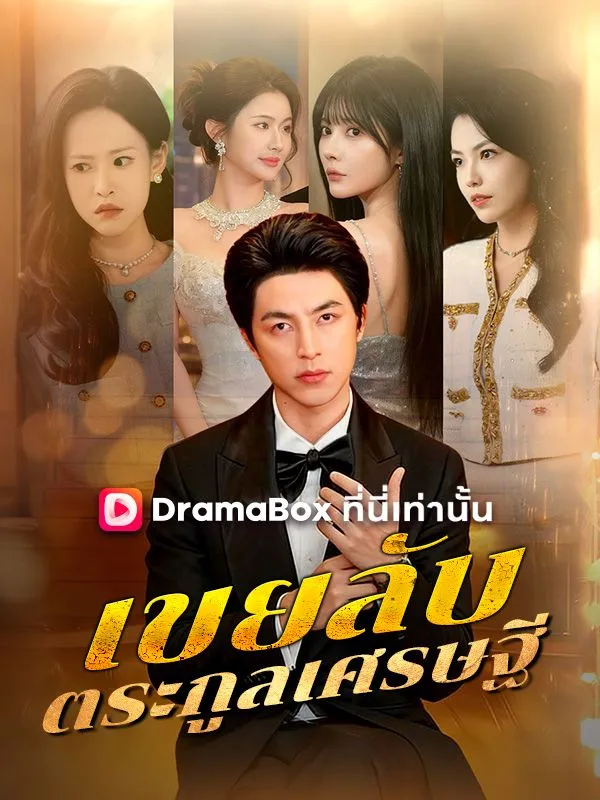 เขยลับตระกูลเศรษฐี(พากย์ไทย)